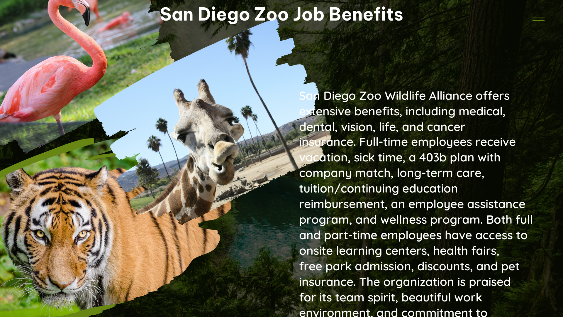 san diego zoo job benefits