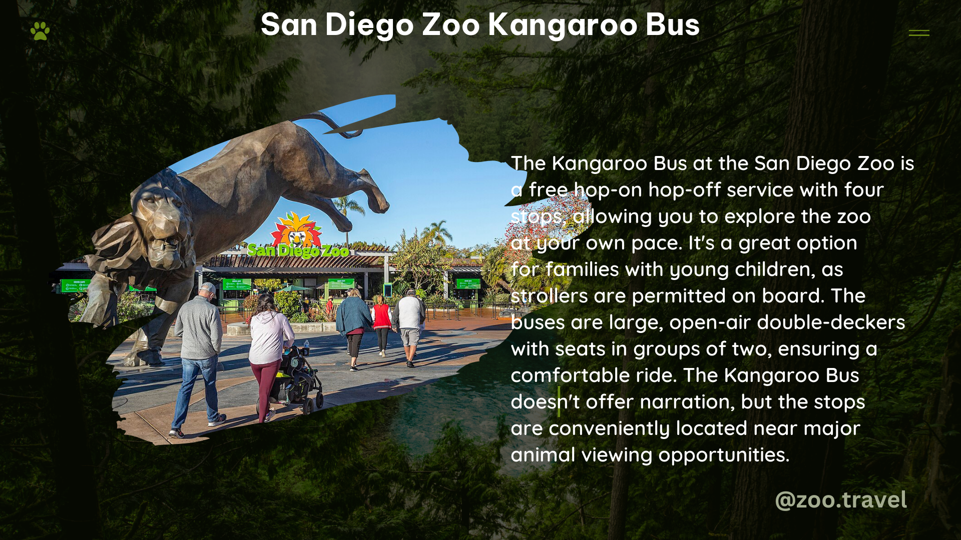 san diego zoo kangaroo bus