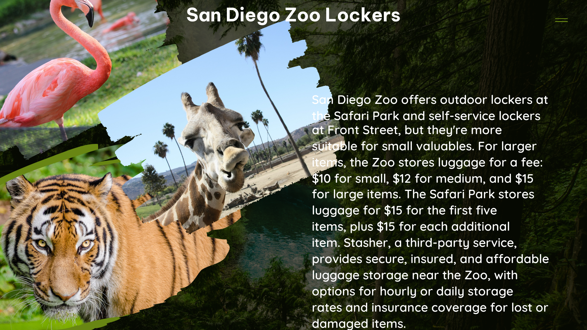 san diego zoo lockers