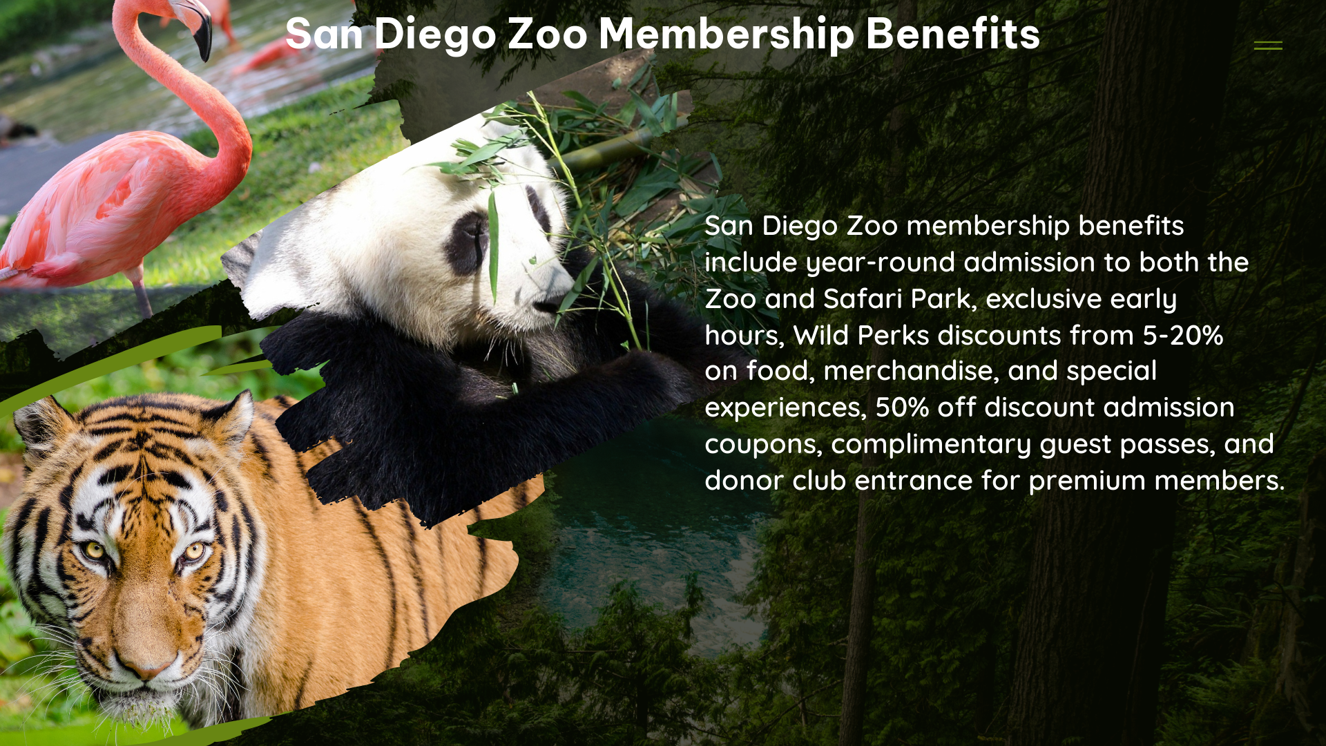 san diego zoo membership benefits