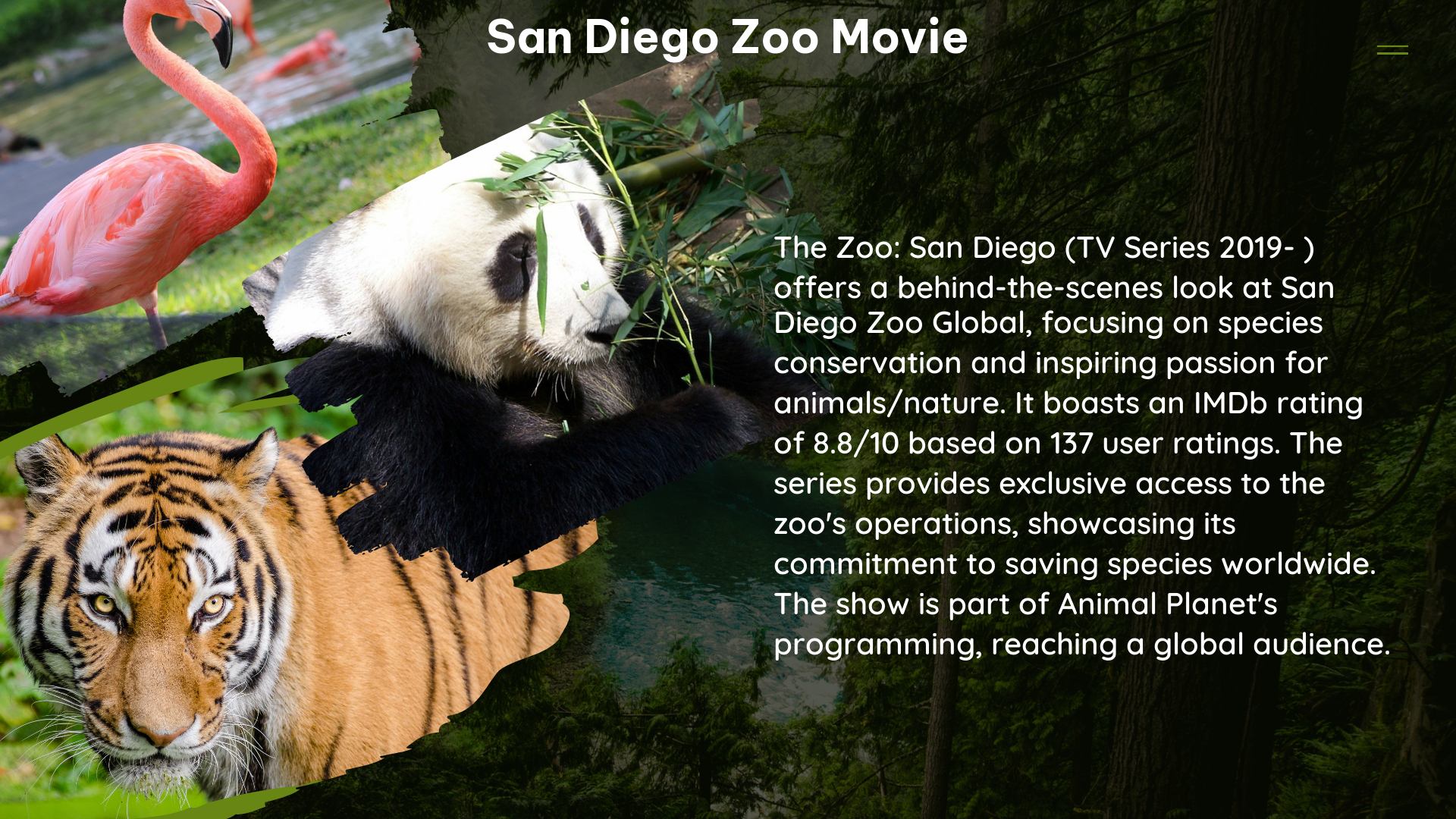 san diego zoo movie