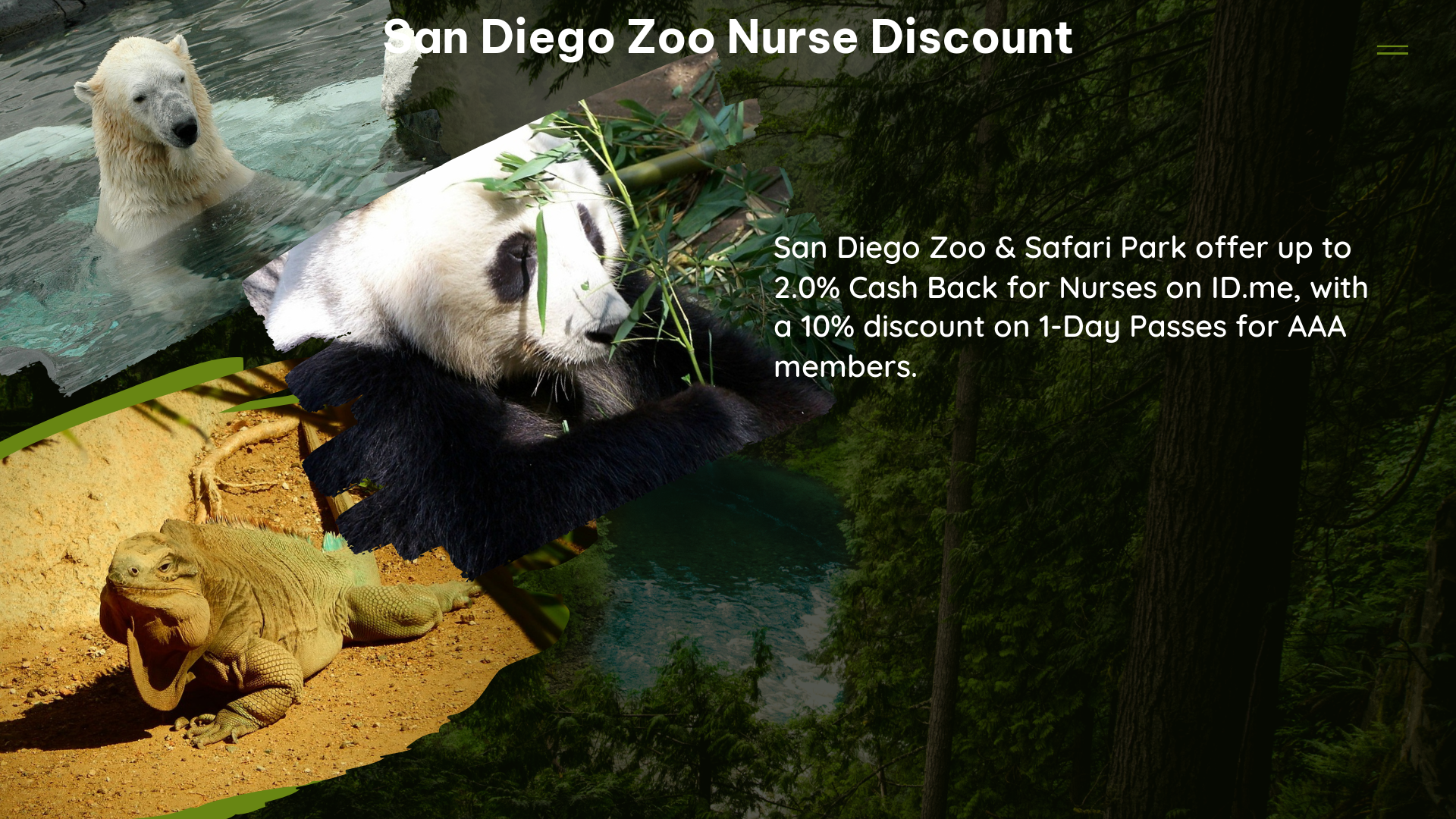 san diego zoo nurse discount