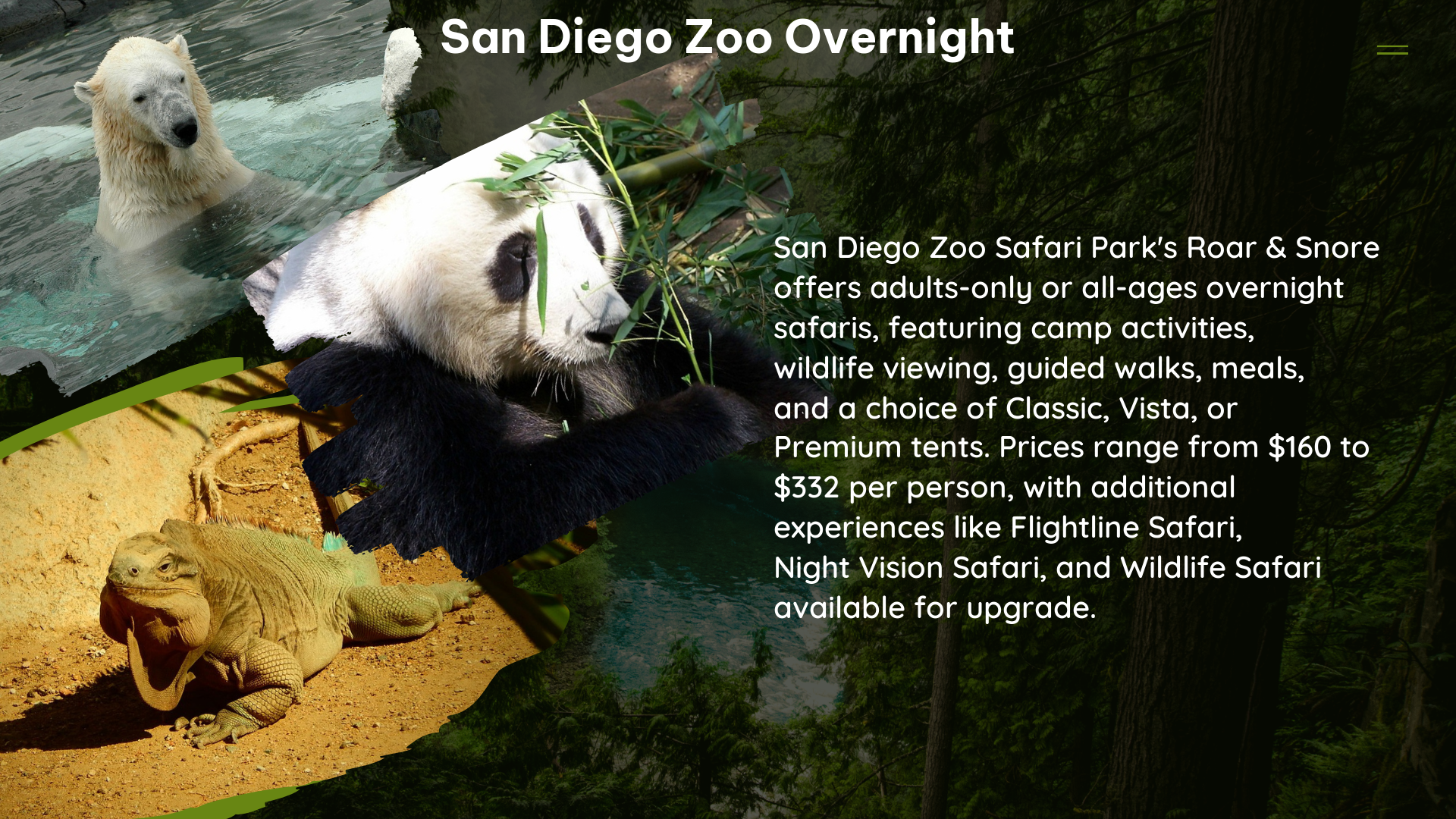 san diego zoo overnight