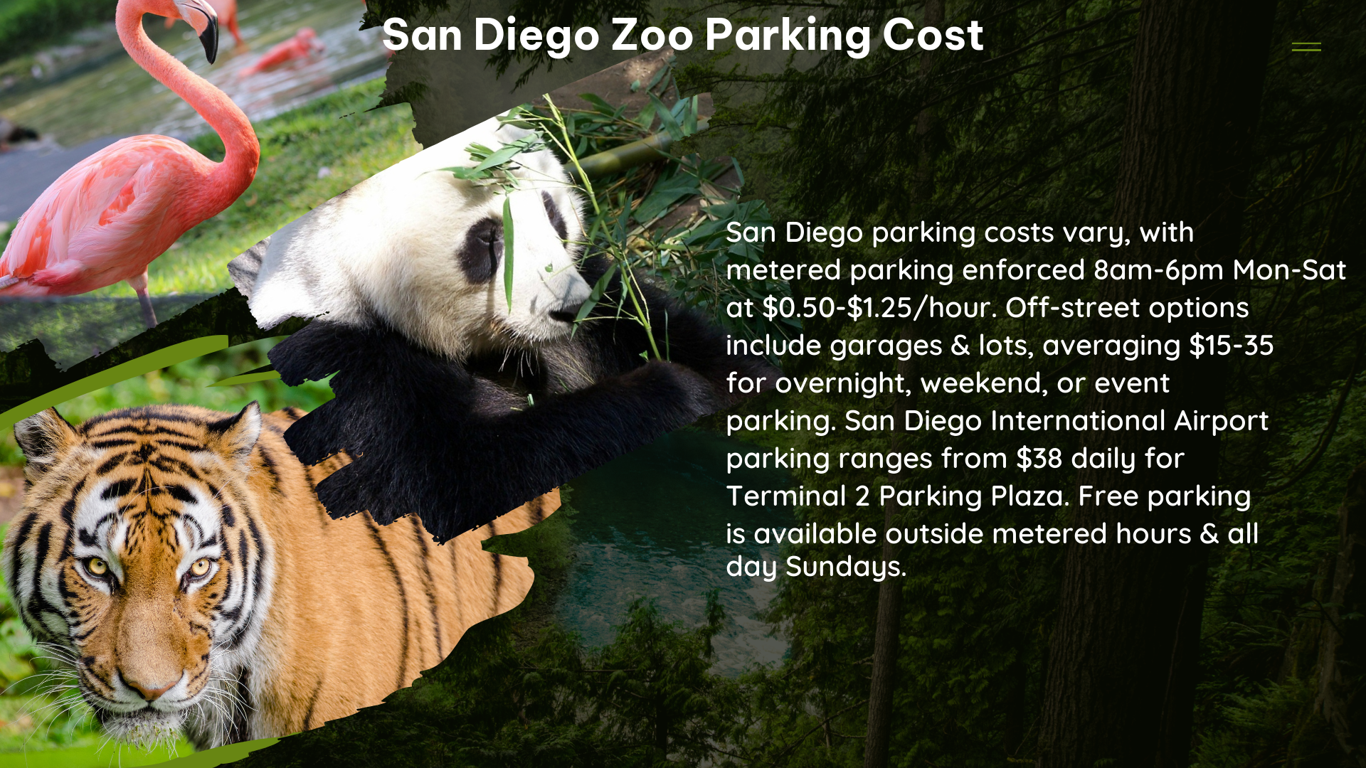 san diego zoo parking cost