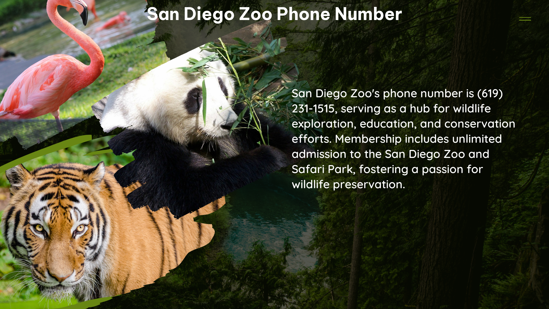 san diego zoo phone number