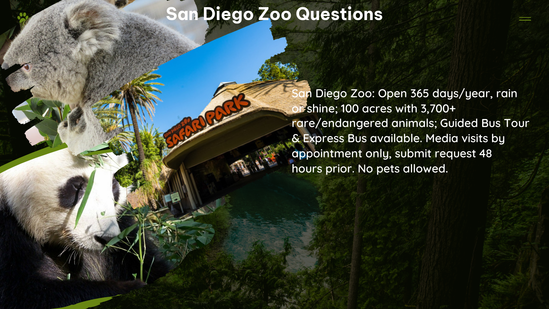 san diego zoo questions