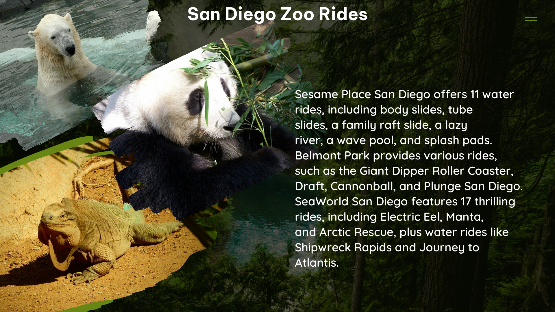 san diego zoo rides