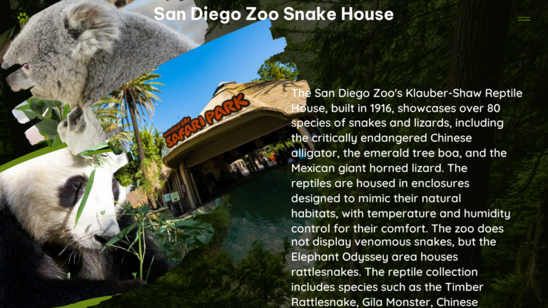 san diego zoo snake house