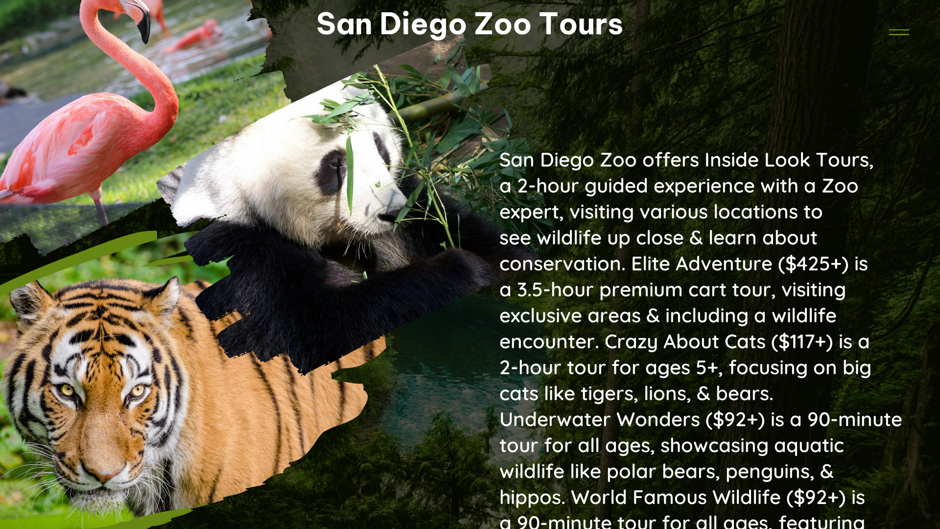 san diego zoo tours