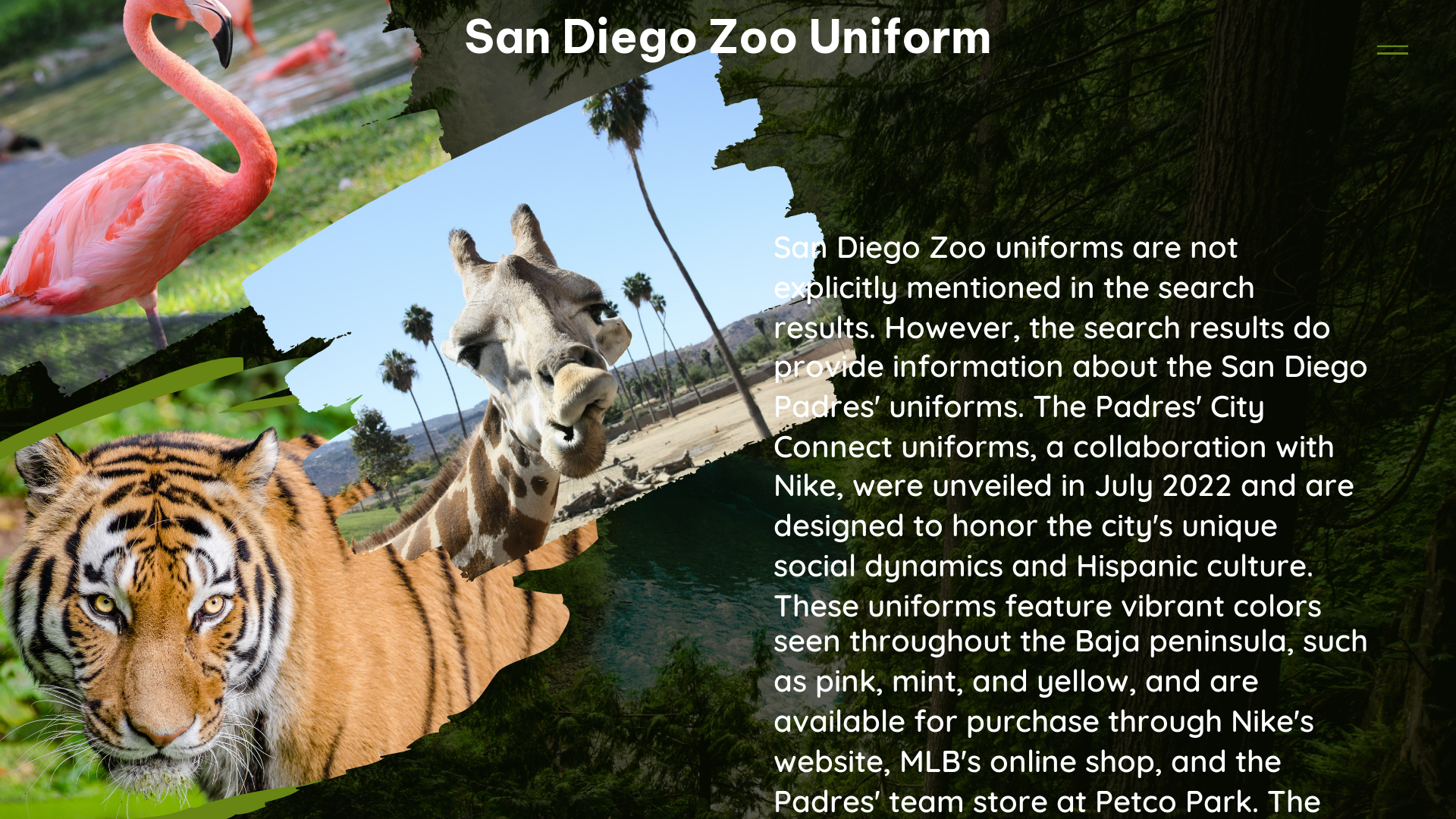 san diego zoo uniform