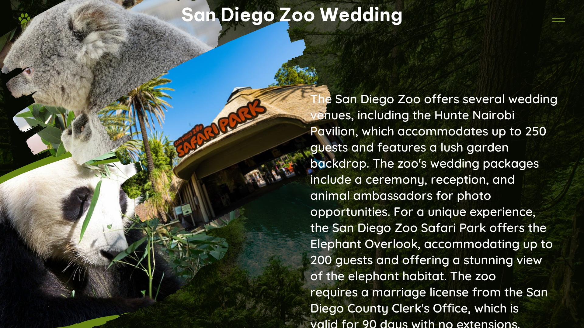 san diego zoo wedding