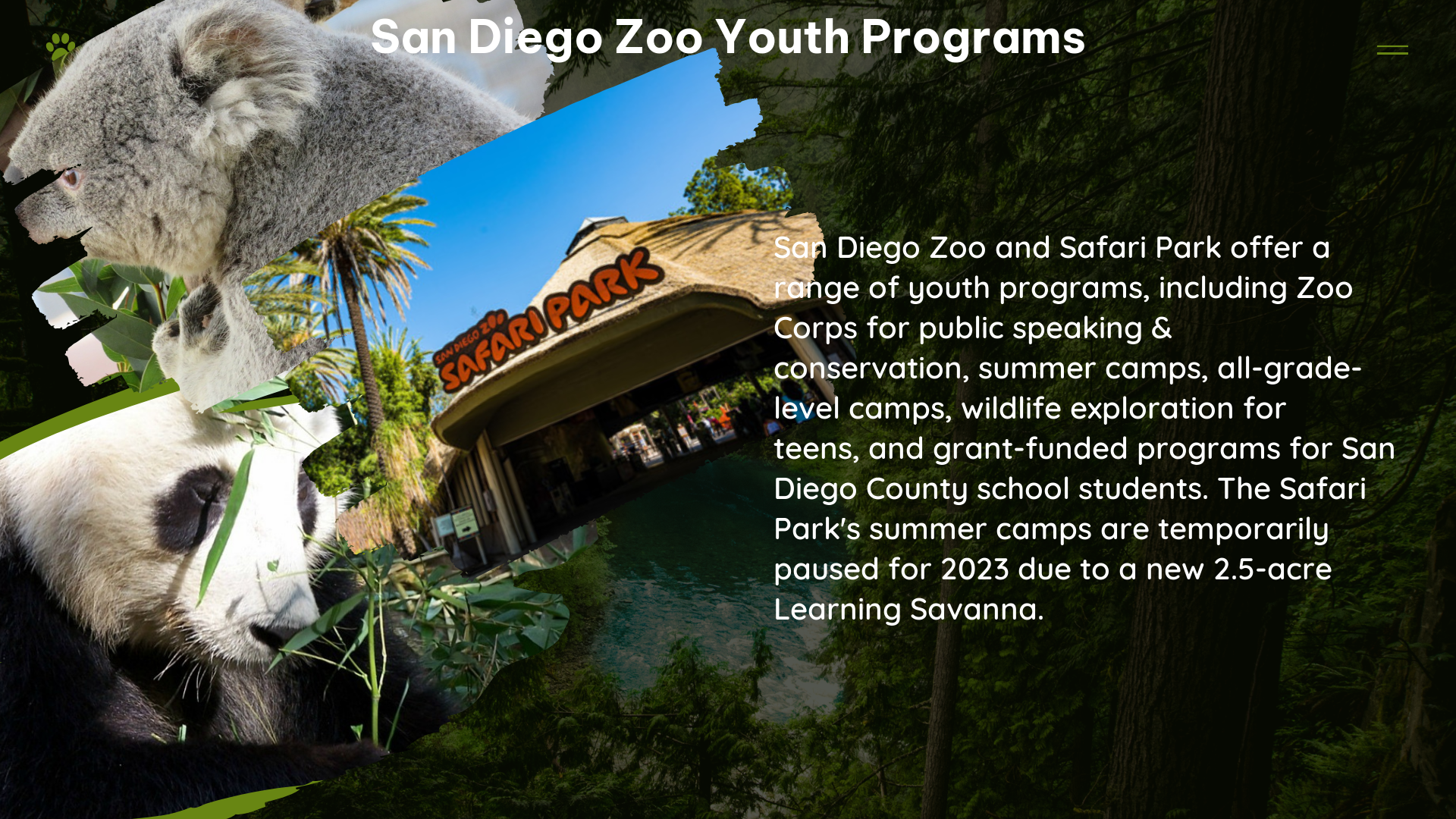 san diego zoo youth programs