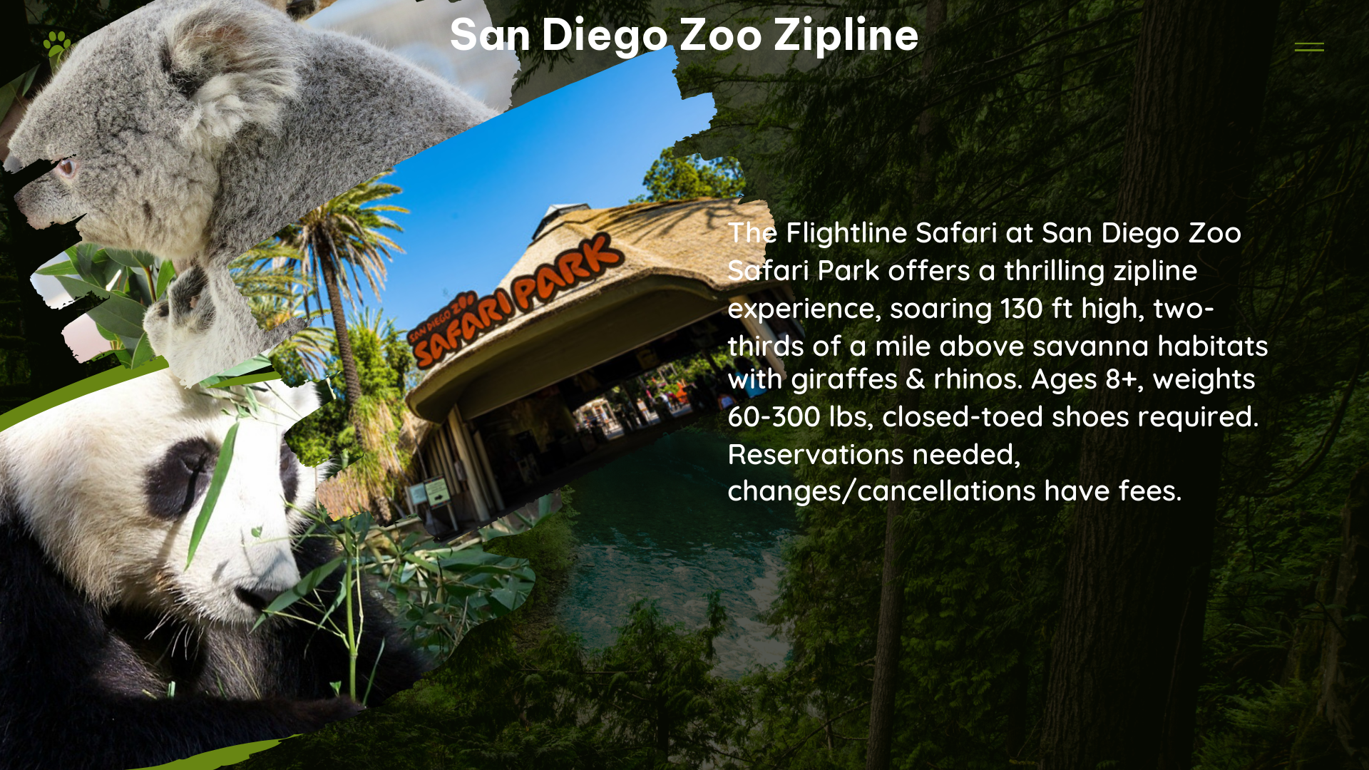 san diego zoo zipline