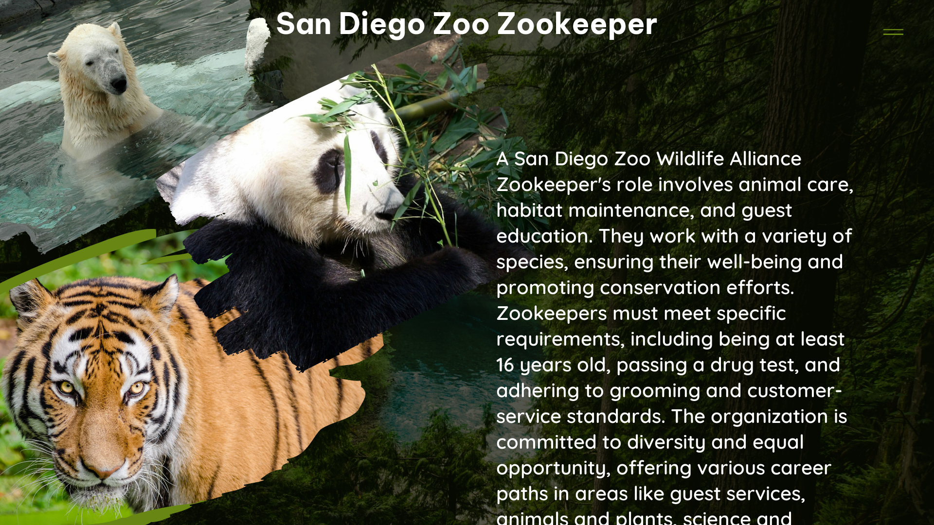 san diego zoo zookeeper