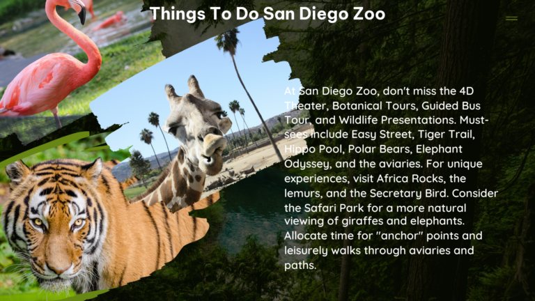 things to do san diego zoo