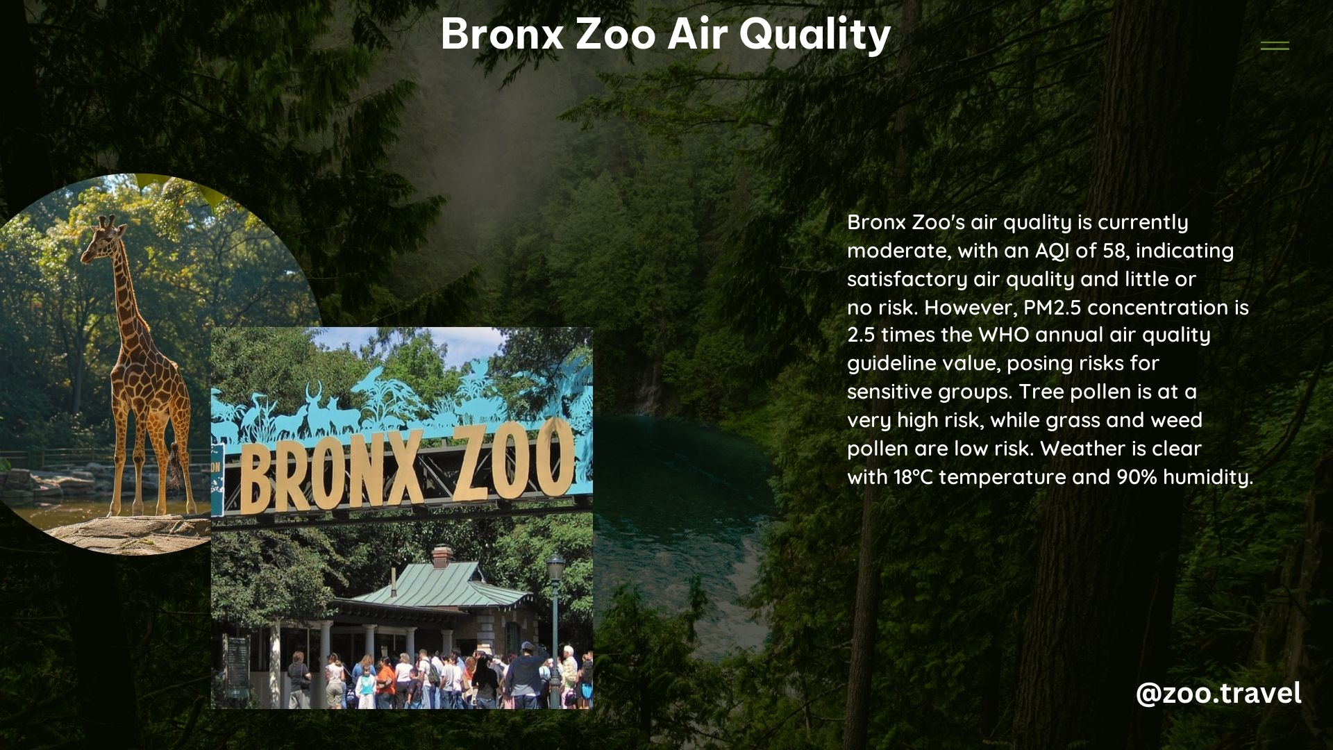 Bronx Zoo Air Quality