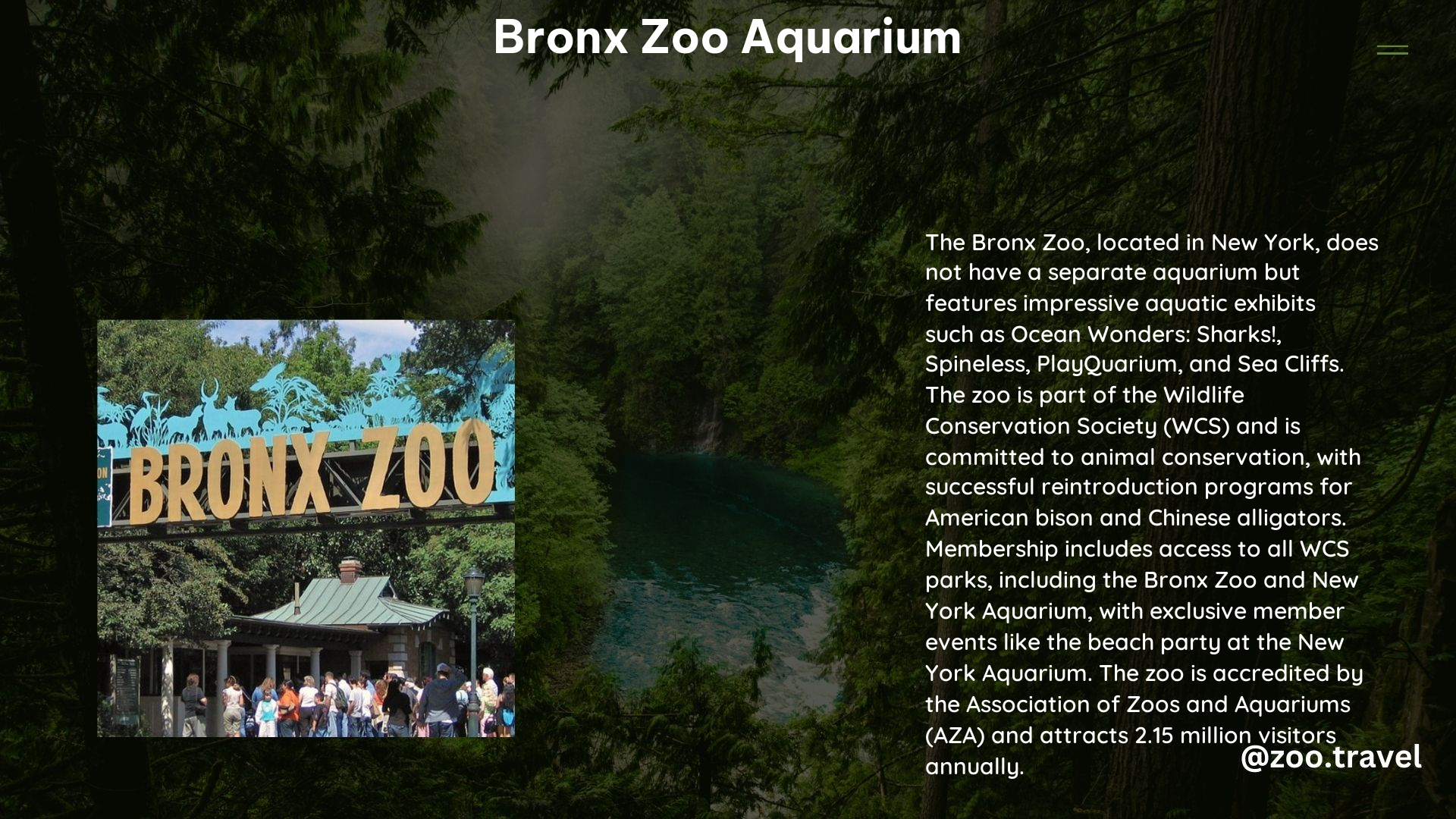 Bronx Zoo Aquarium