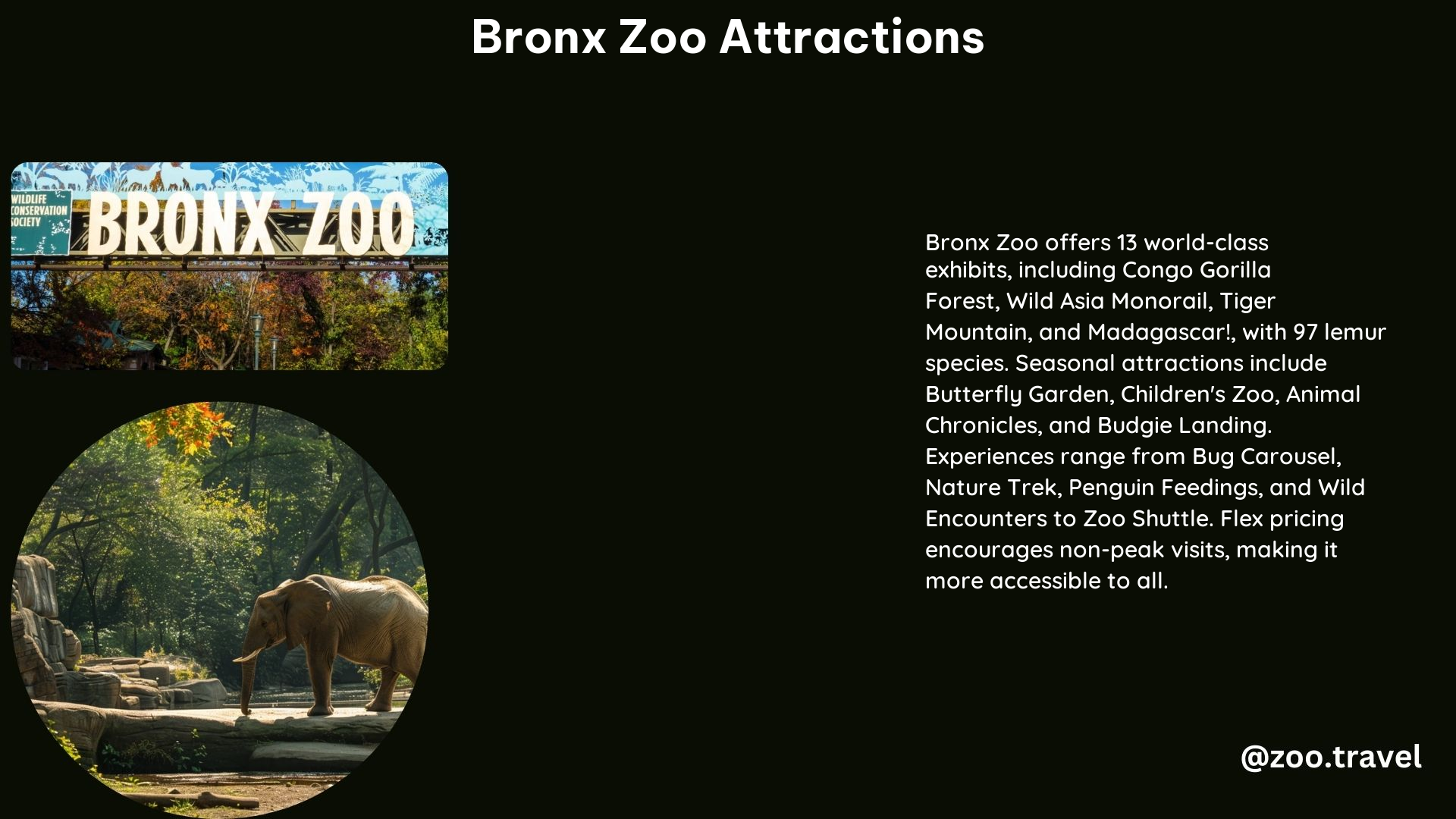 Bronx Zoo Attractions