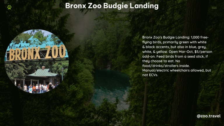 Bronx Zoo Budgie Landing