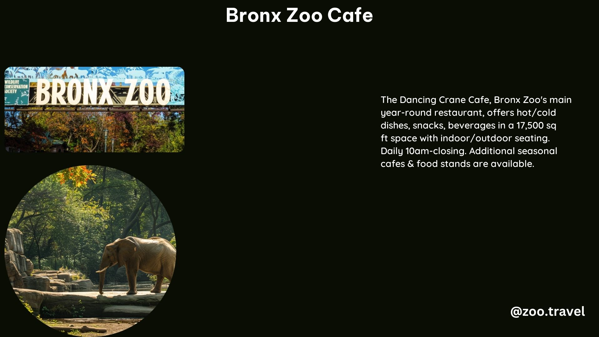 Bronx Zoo Cafe