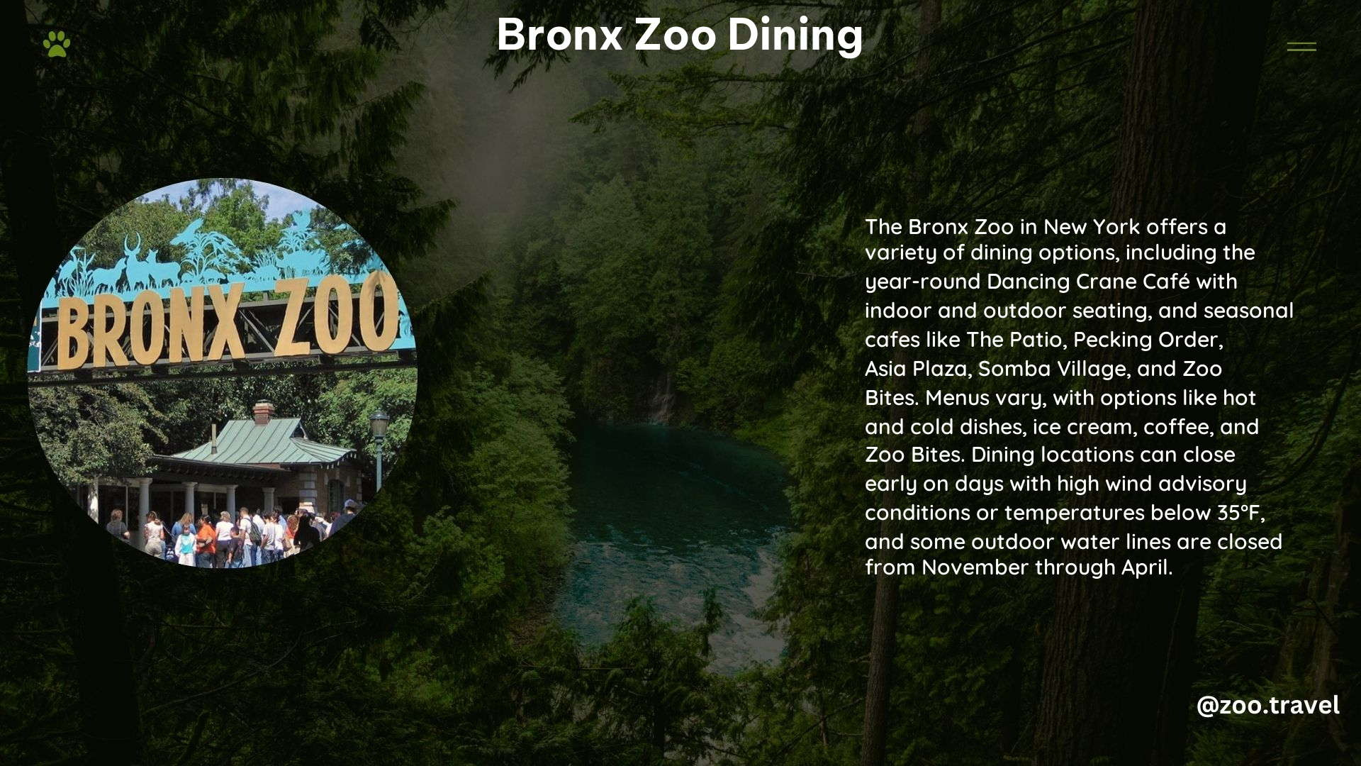 Bronx Zoo Dining