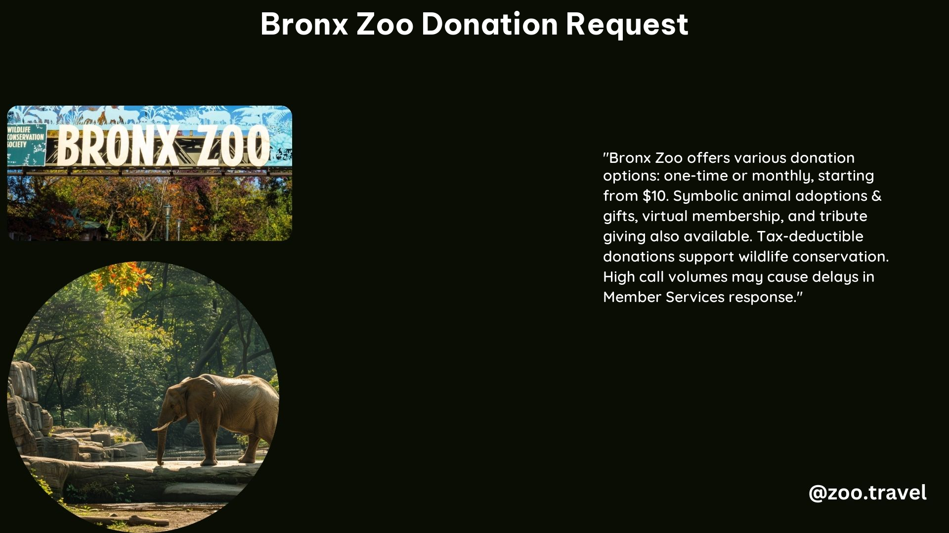 Bronx Zoo Donation Request