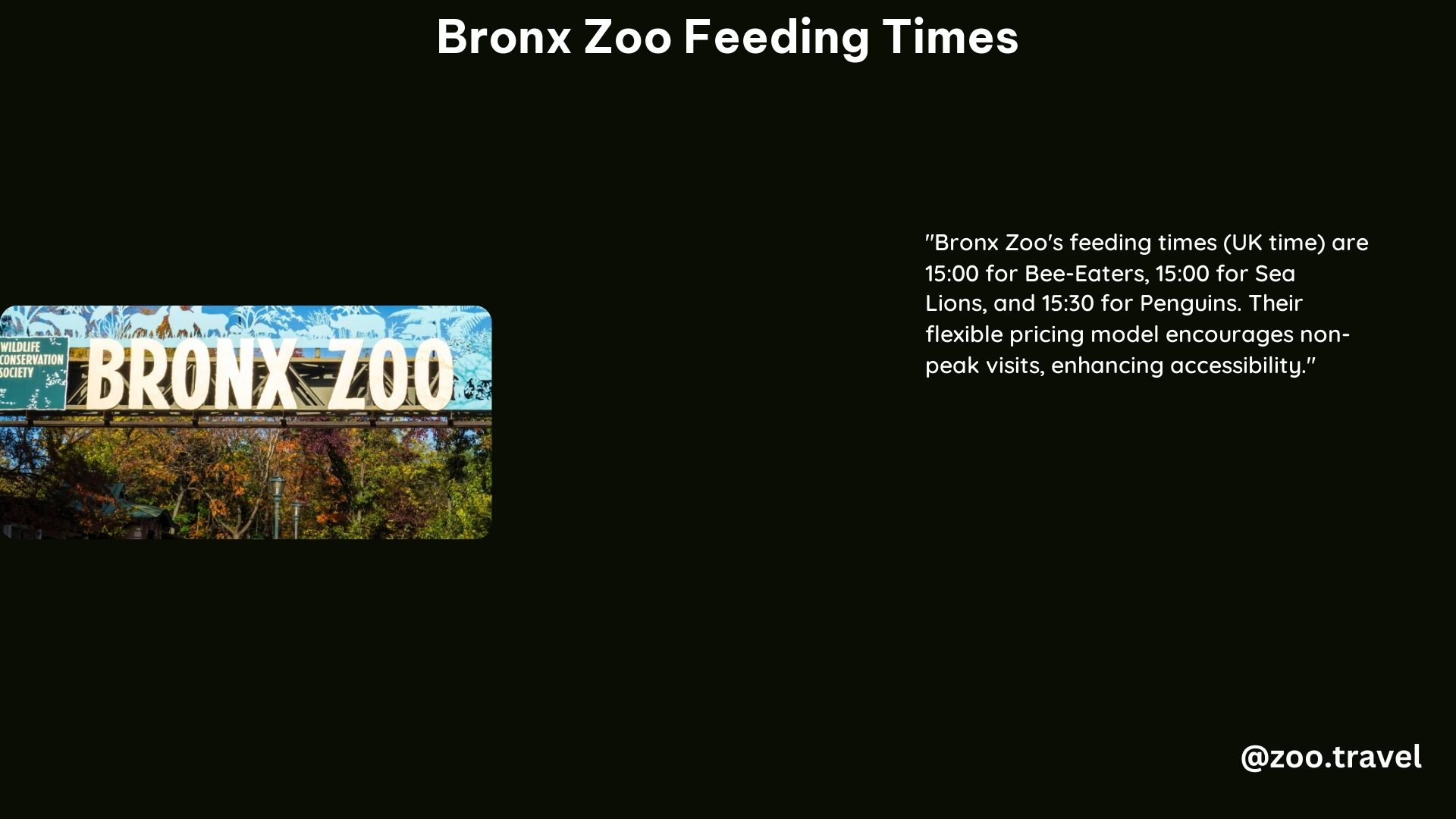 Bronx Zoo Feeding Times