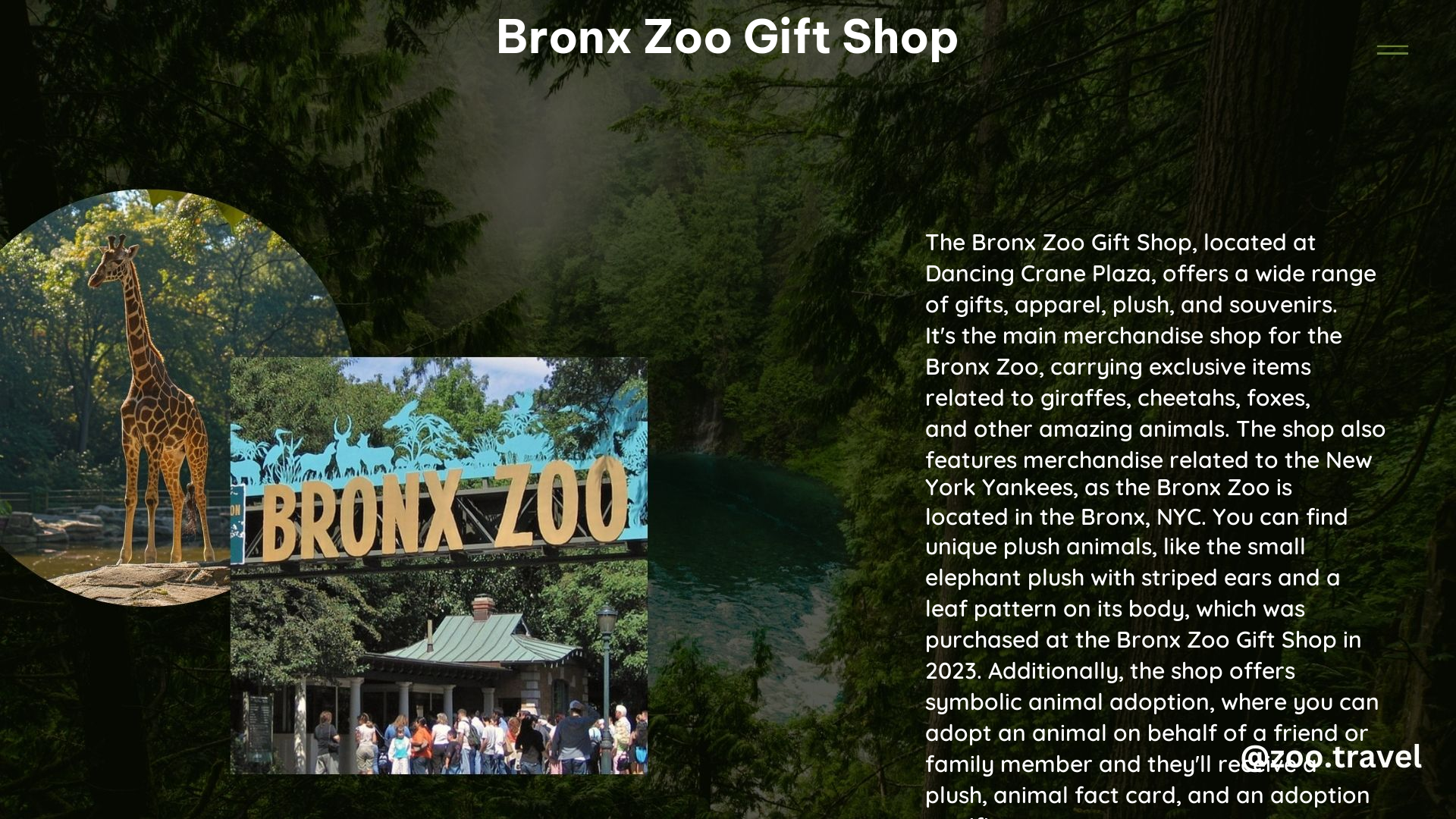 Bronx Zoo Gift Shop