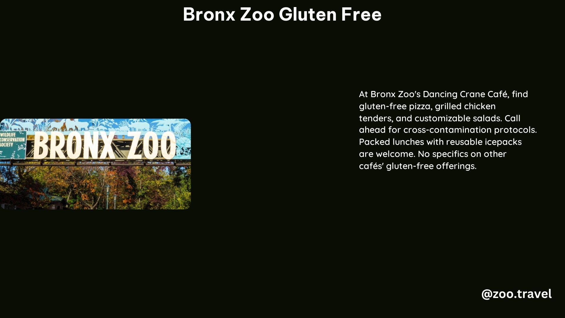 Bronx Zoo Gluten Free
