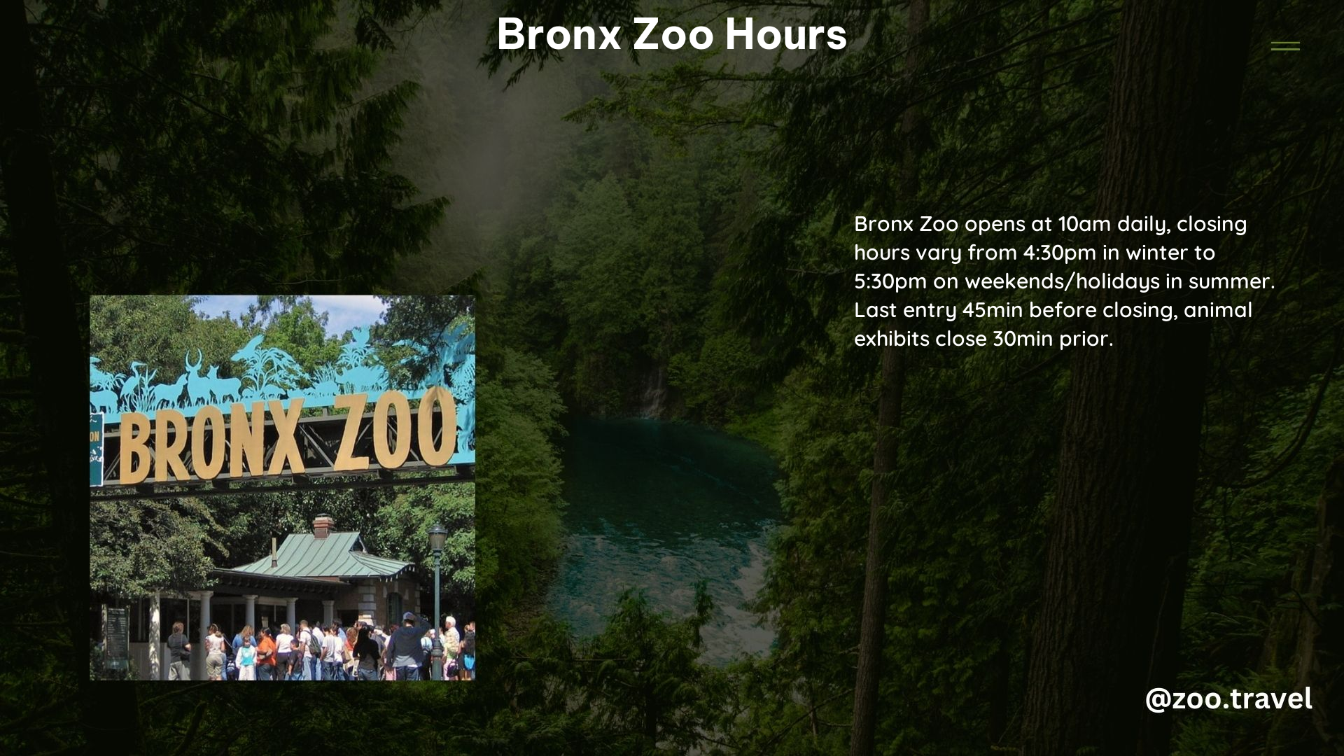 Bronx Zoo Hours