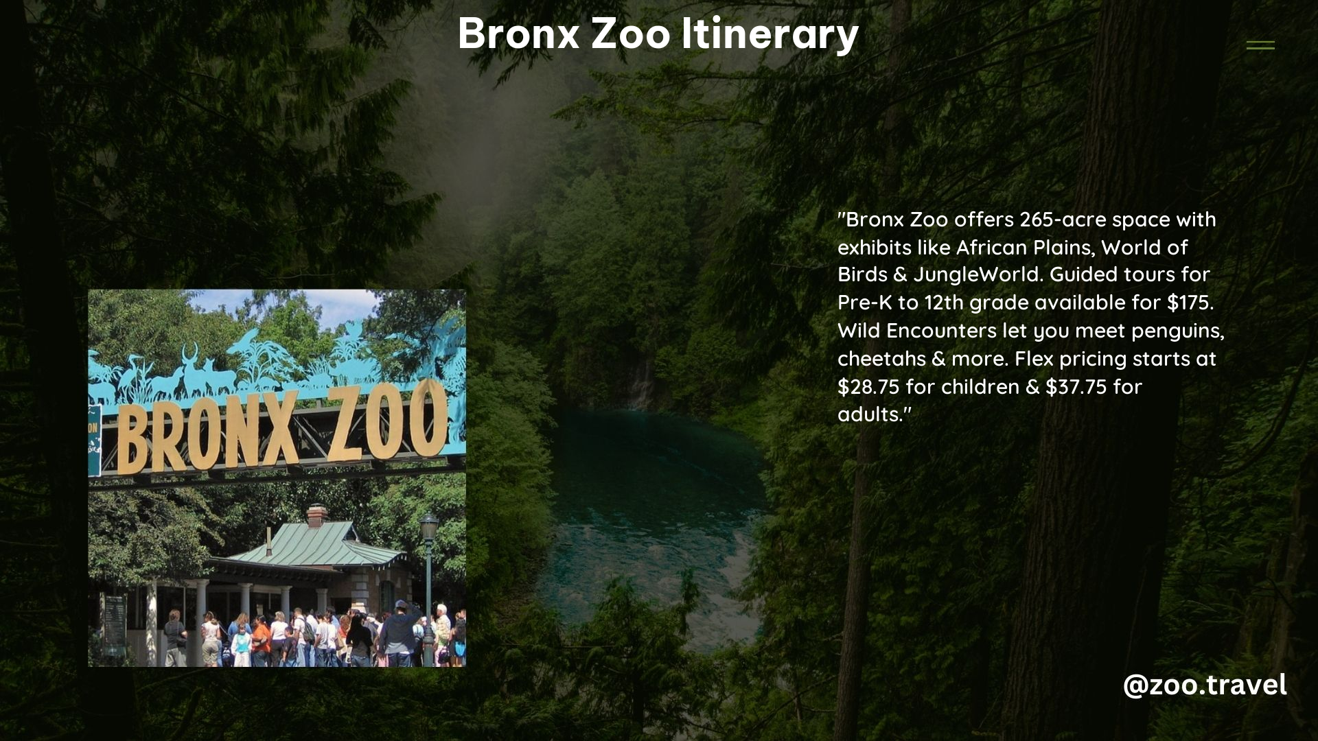 Bronx Zoo Itinerary