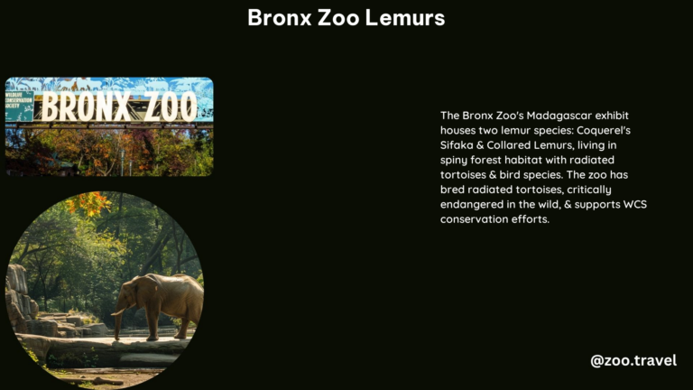 Bronx Zoo Lemurs