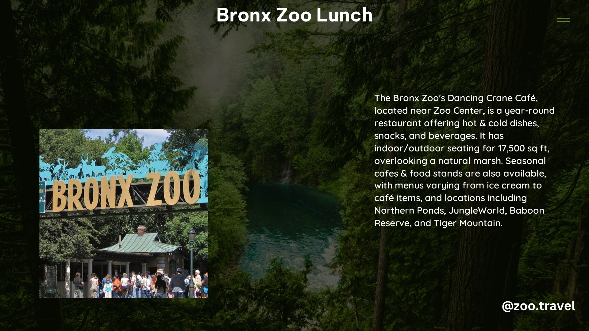 Bronx Zoo Lunch