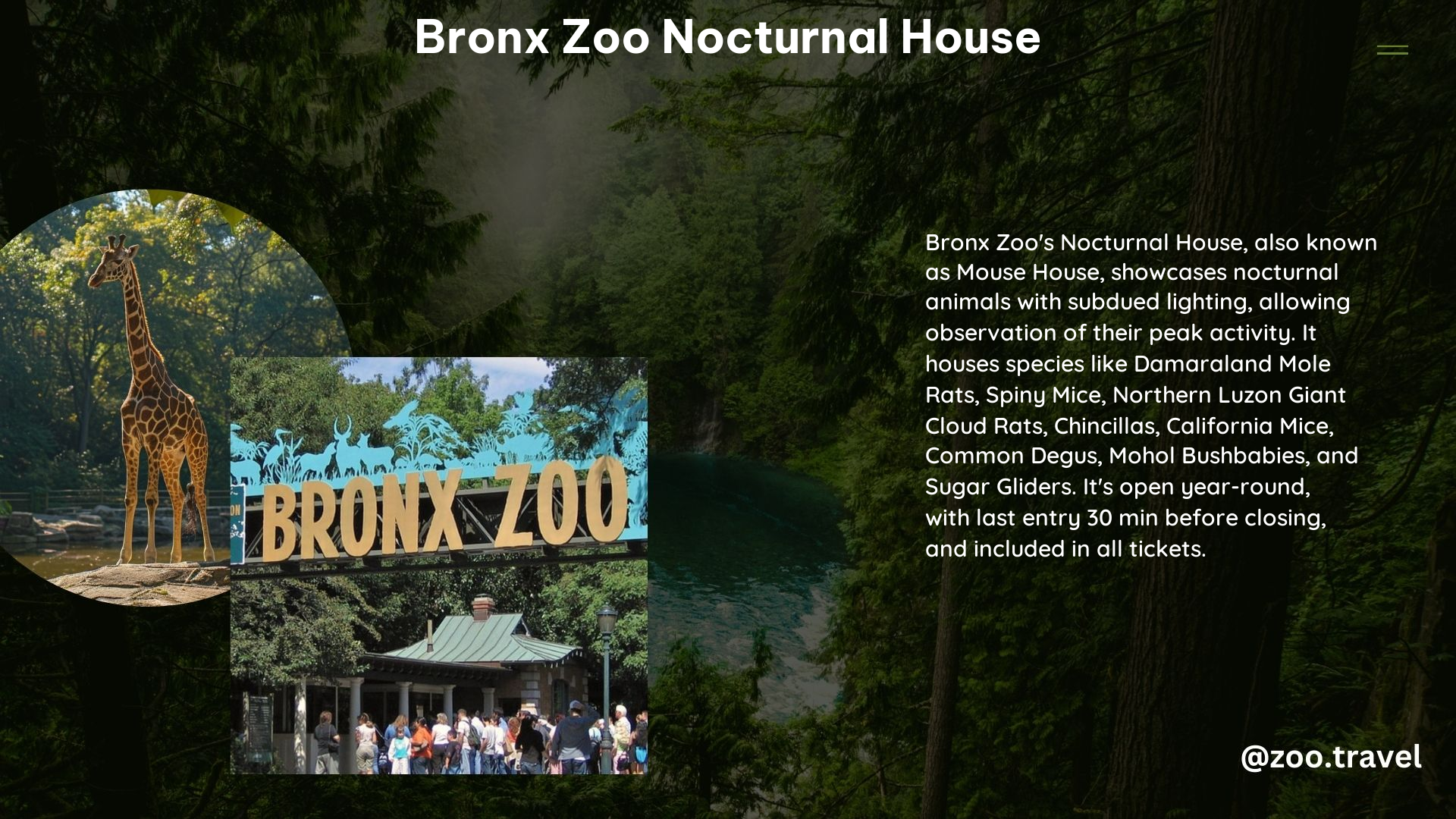 Bronx Zoo Nocturnal House