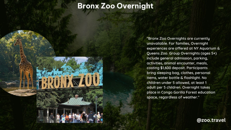 Bronx Zoo Overnight