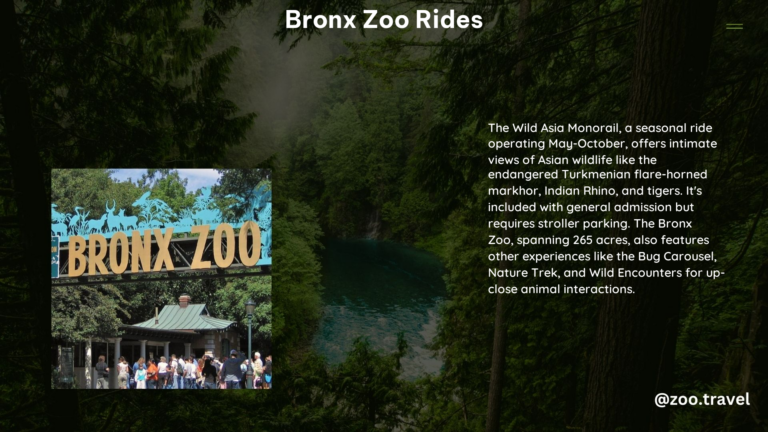 Bronx Zoo Rides