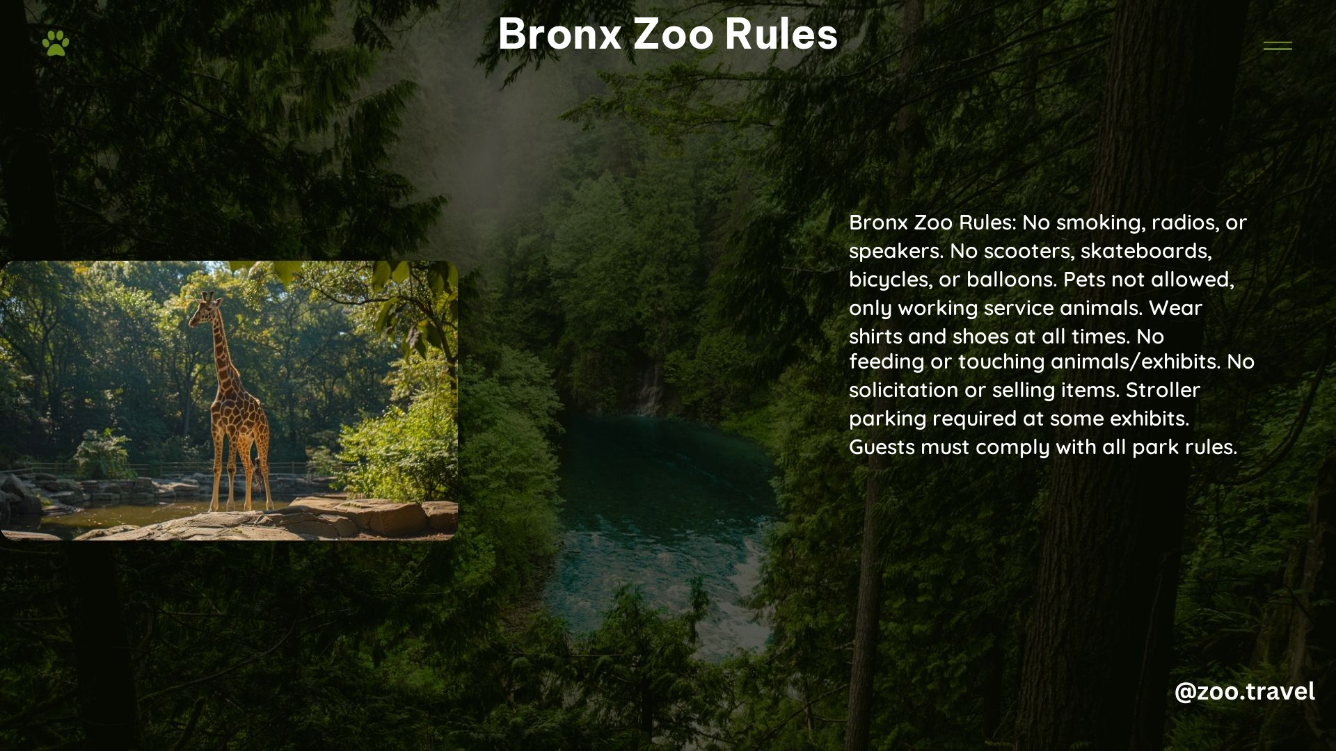 Bronx Zoo Rules