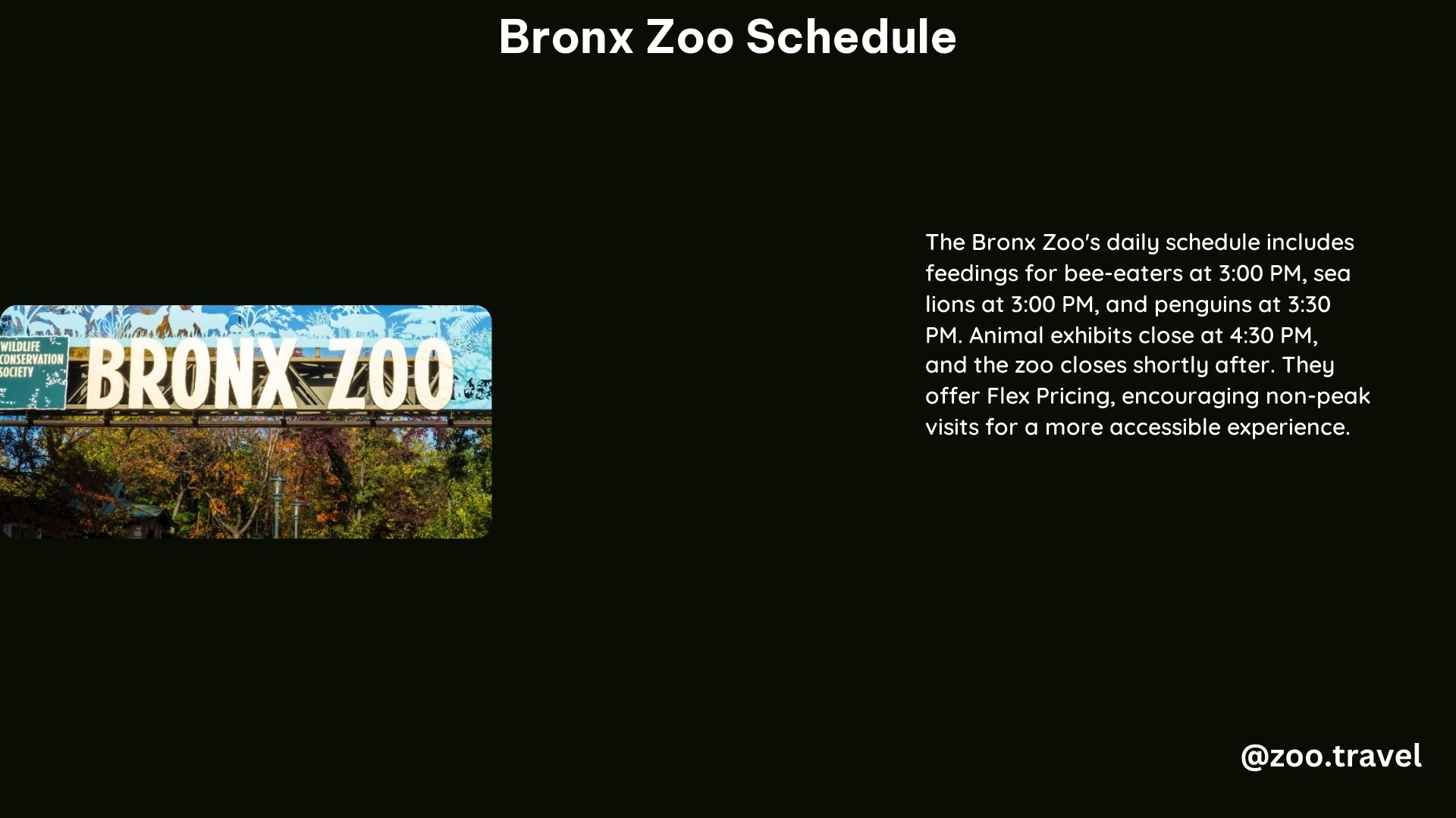 Bronx Zoo Schedule