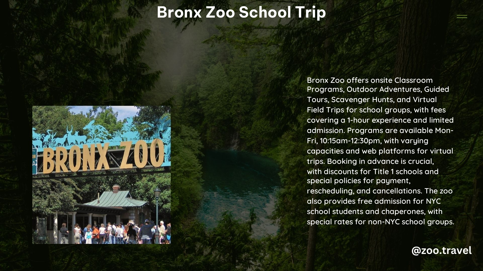 Bronx Zoo School Trip