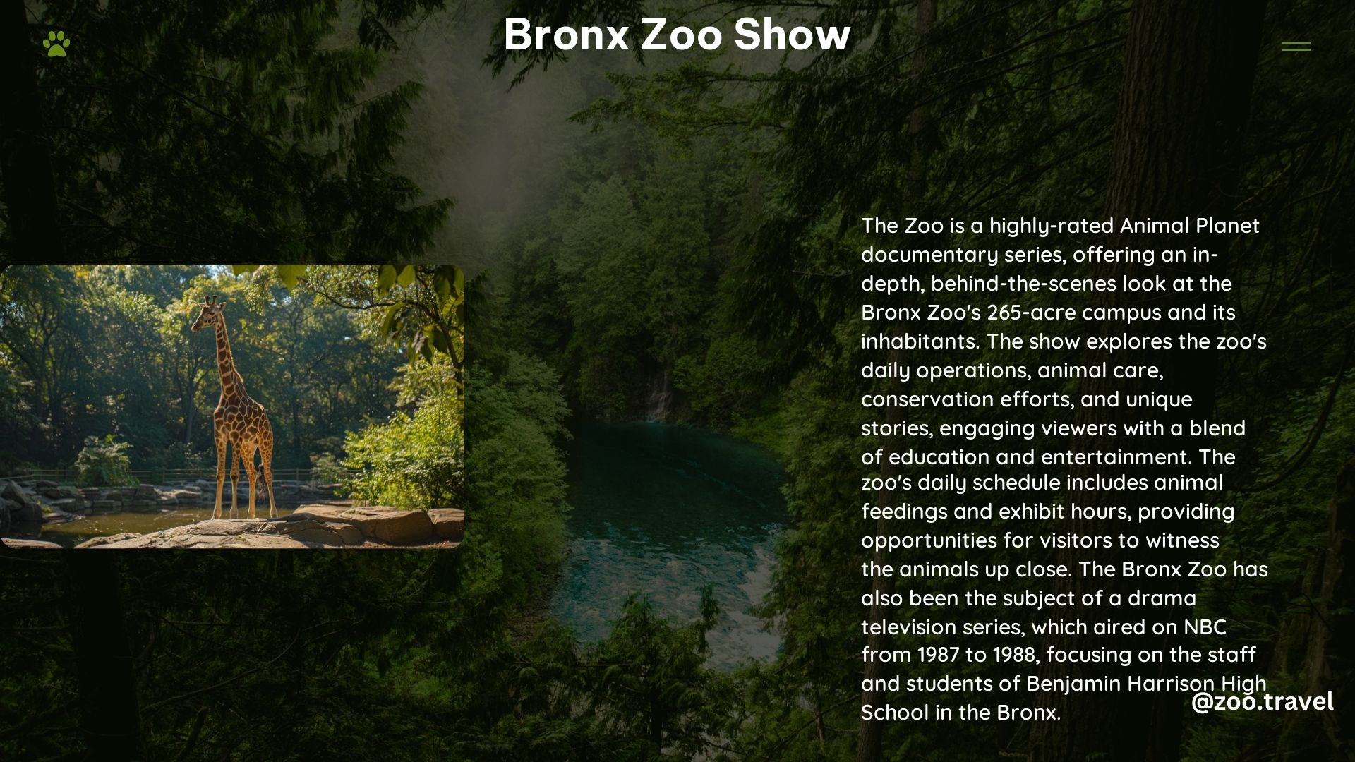 Bronx Zoo Show