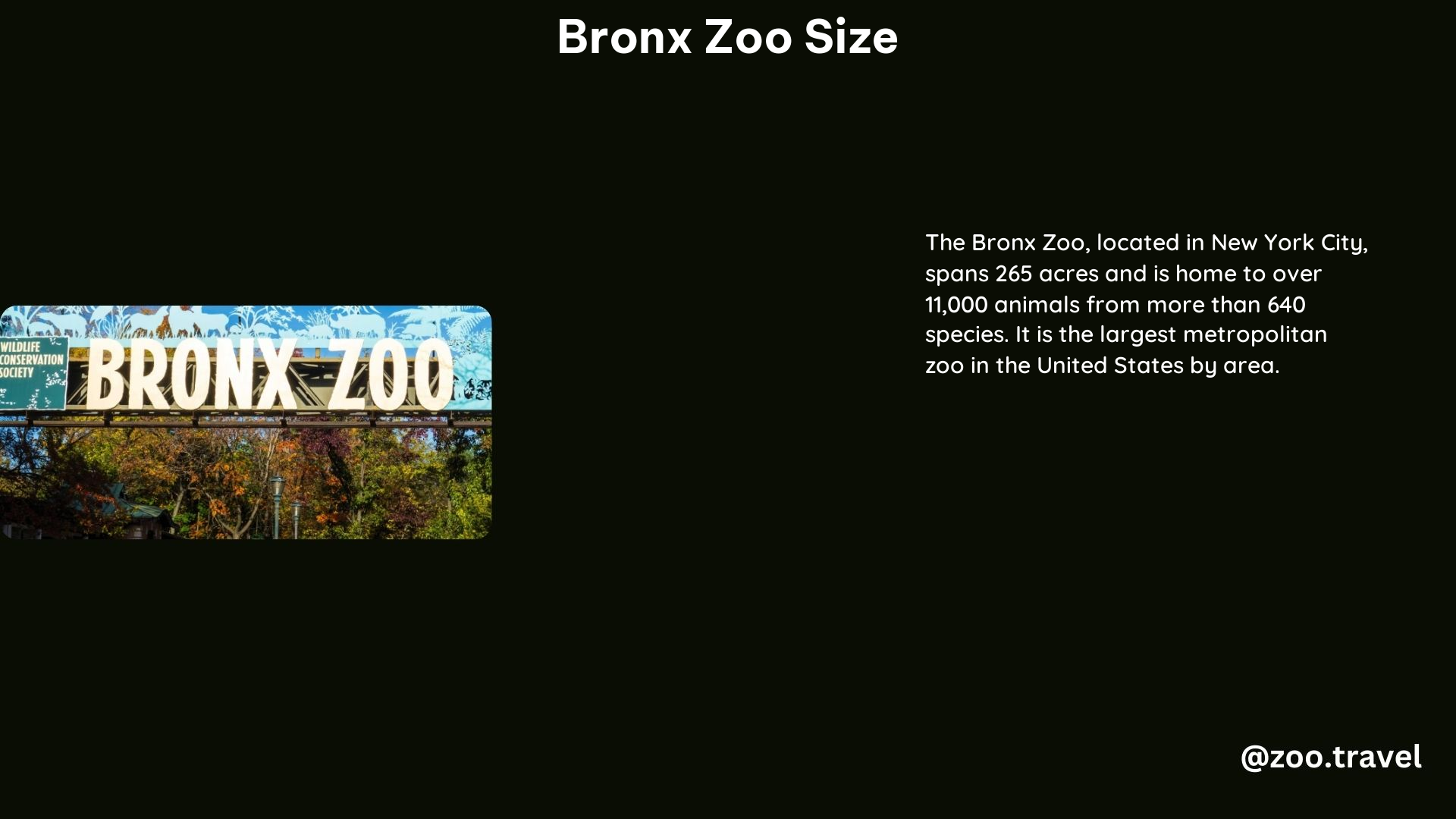 Bronx Zoo Size