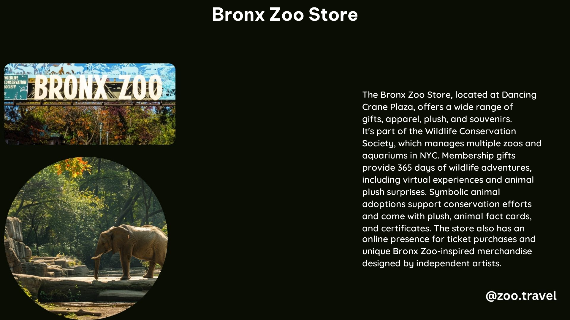 Bronx Zoo Store