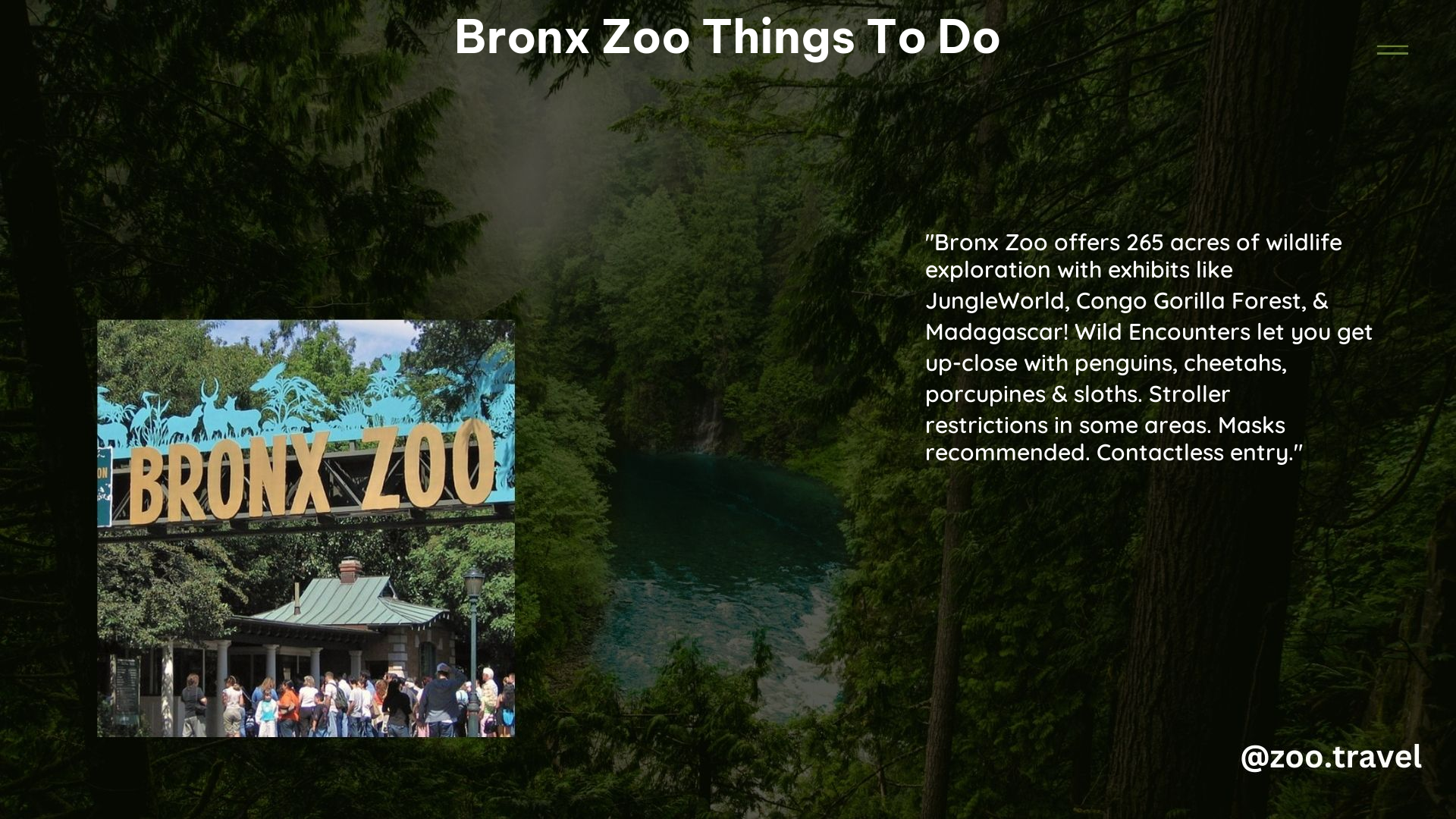 Bronx Zoo Things to Do