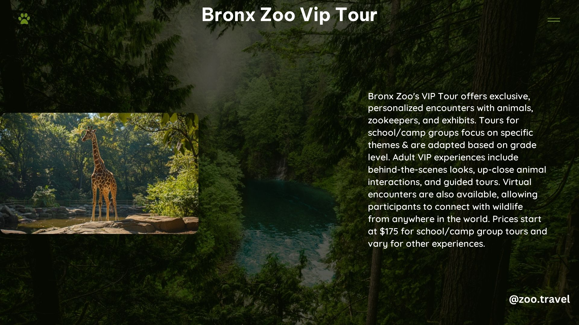 Bronx Zoo VIP Tour