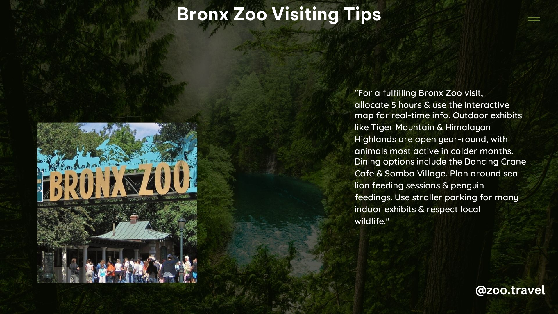 Bronx Zoo Visiting Tips