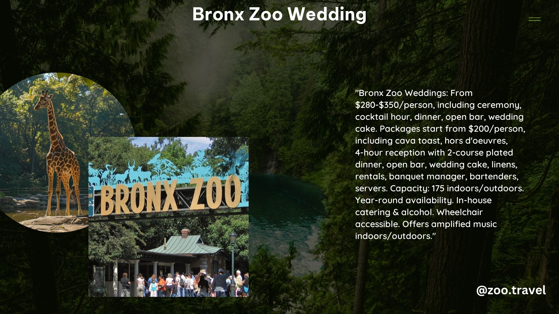 Bronx Zoo Wedding