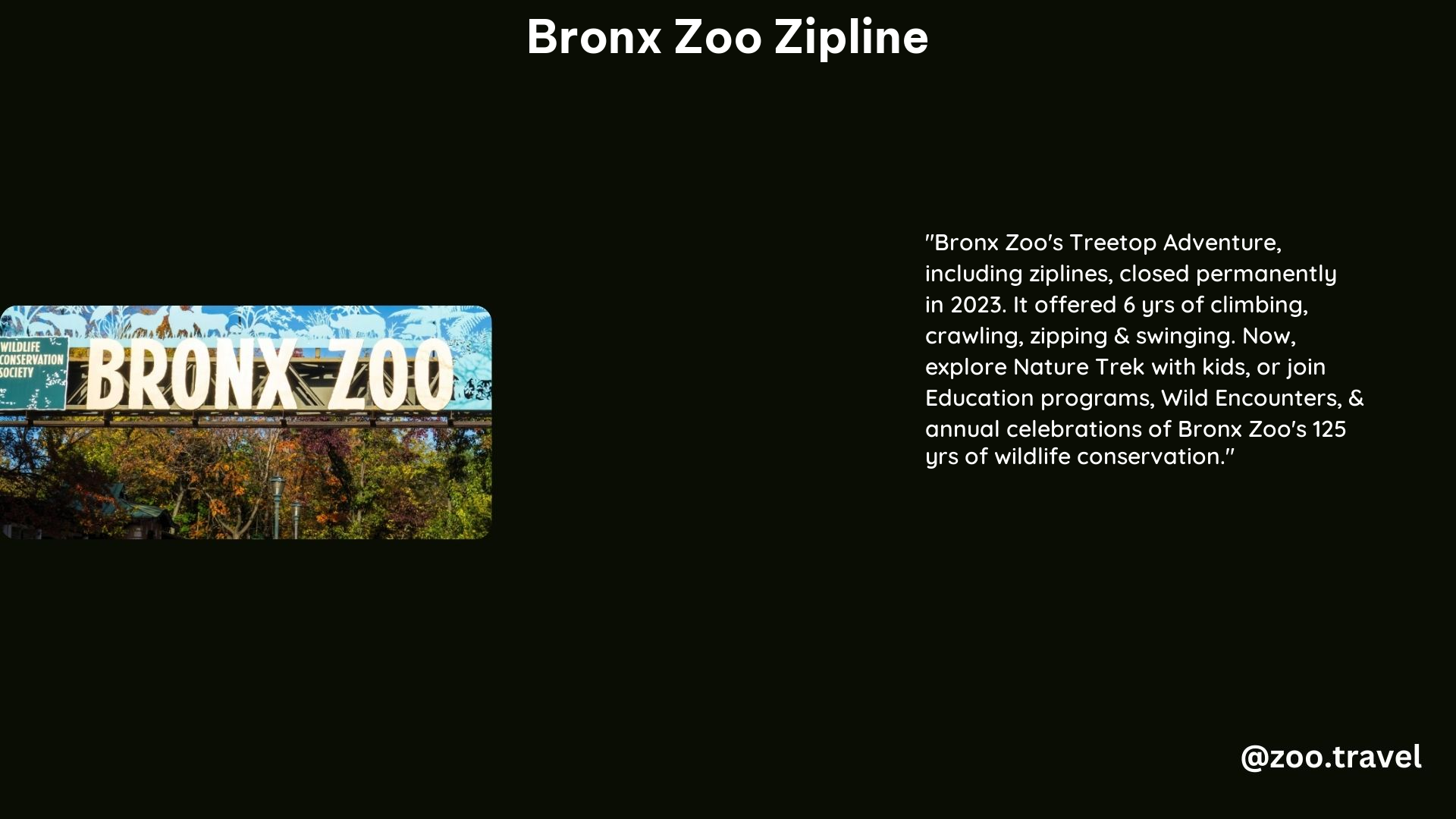 Bronx Zoo Zipline