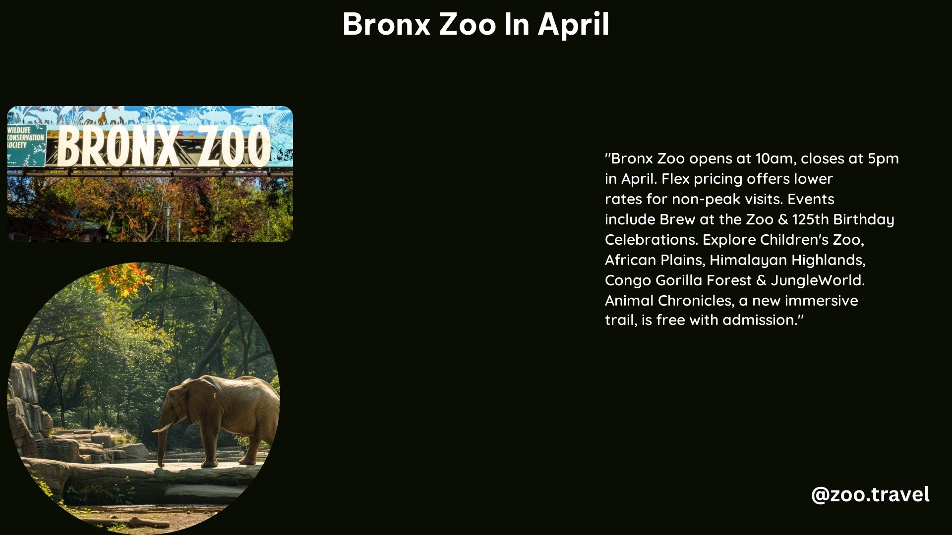 Bronx Zoo in April