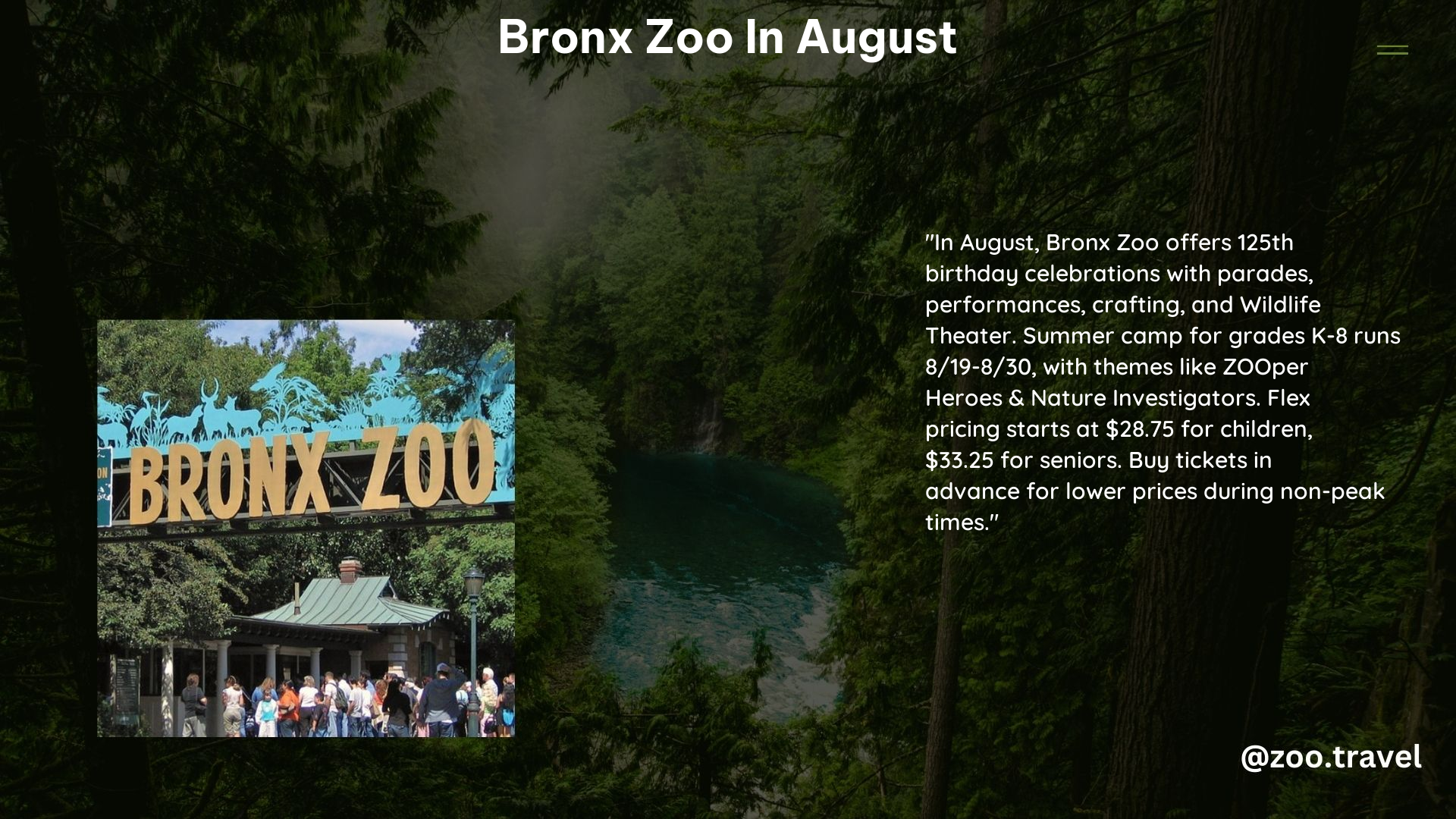 Bronx Zoo in August
