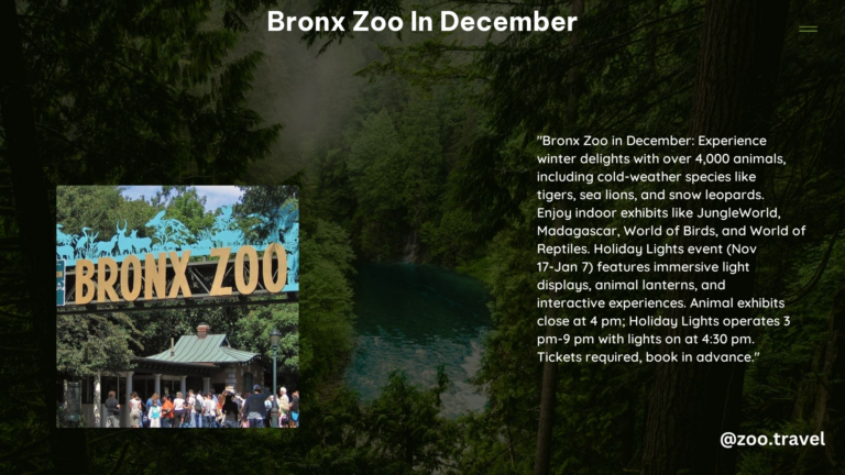 Bronx Zoo in December
